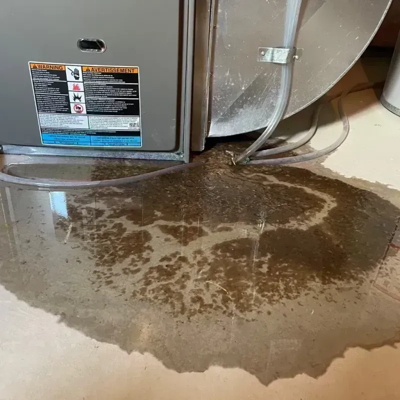 Appliance Leak Cleanup in Twinsburg, OH